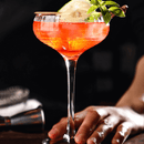 Curve Cocktail Glasses – Set of 4