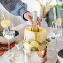 ice bottle mold, ice wine cooler, ice bottle holder, champagne chiller, wine party table decor