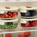 Fruit Storage Container with Drain