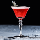 Frosted Martini Glass