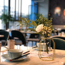 Vase hydroponique nordique