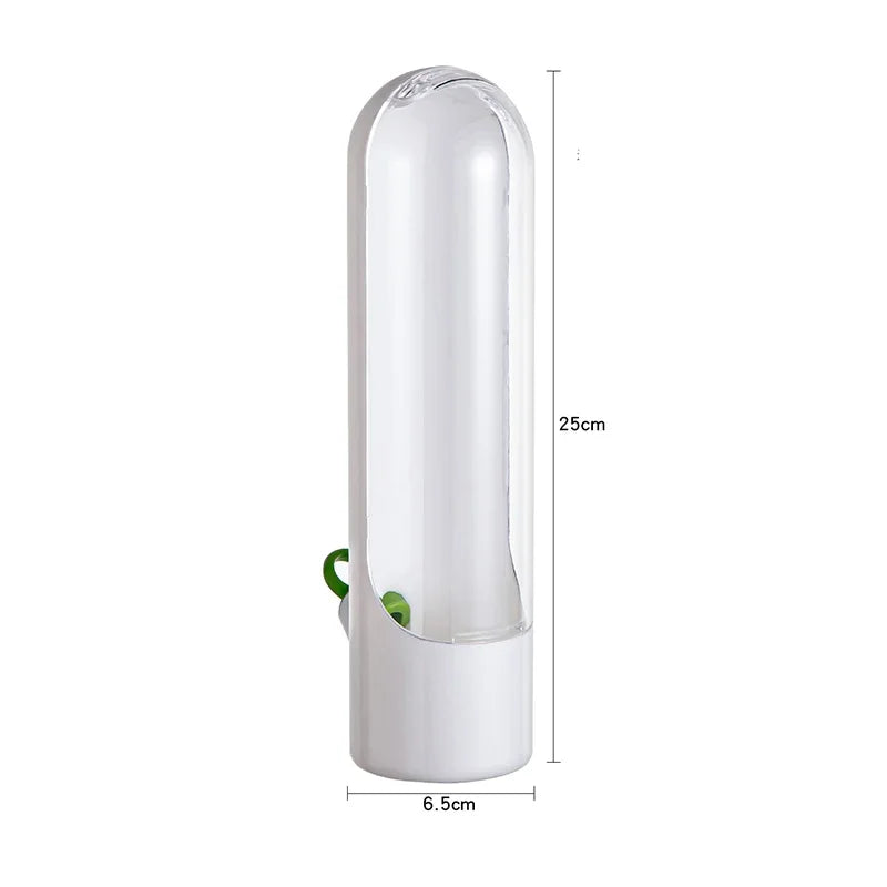 Bouteille de conservation pour légumes et herbes