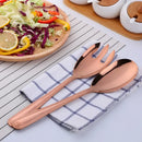 Salad Cutlery Set - Spoon and Fork Kit