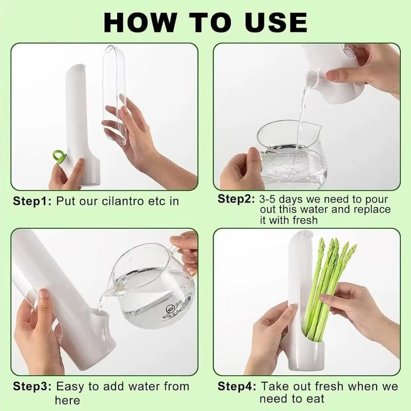 Bouteille de conservation pour légumes et herbes