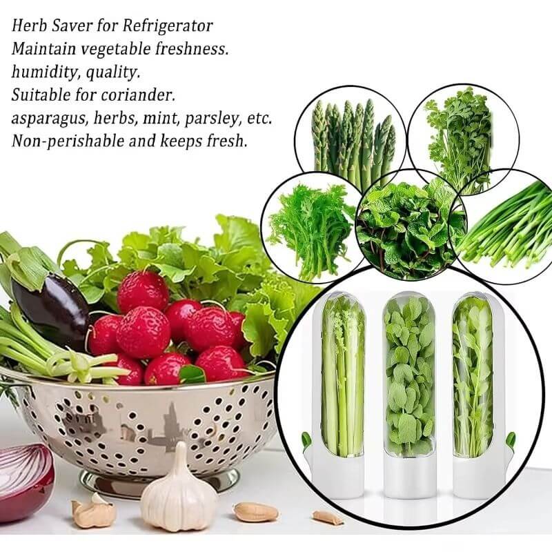 Bouteille de conservation pour légumes et herbes