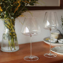 Lumière Wine Glasses