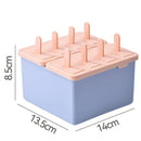 Moules à glaces faits maison