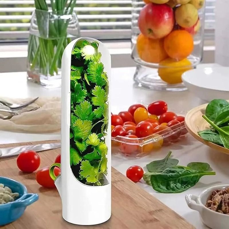 Bouteille de conservation pour légumes et herbes