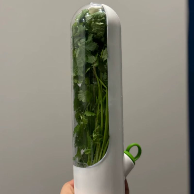 Bouteille de conservation pour légumes et herbes