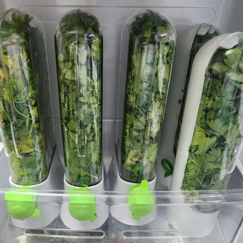 Bouteille de conservation pour légumes et herbes