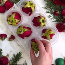 Spherical Ice Mold - Large Size