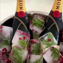 Ice Tray - Large Dimensions