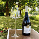 Lumière Wine Glasses