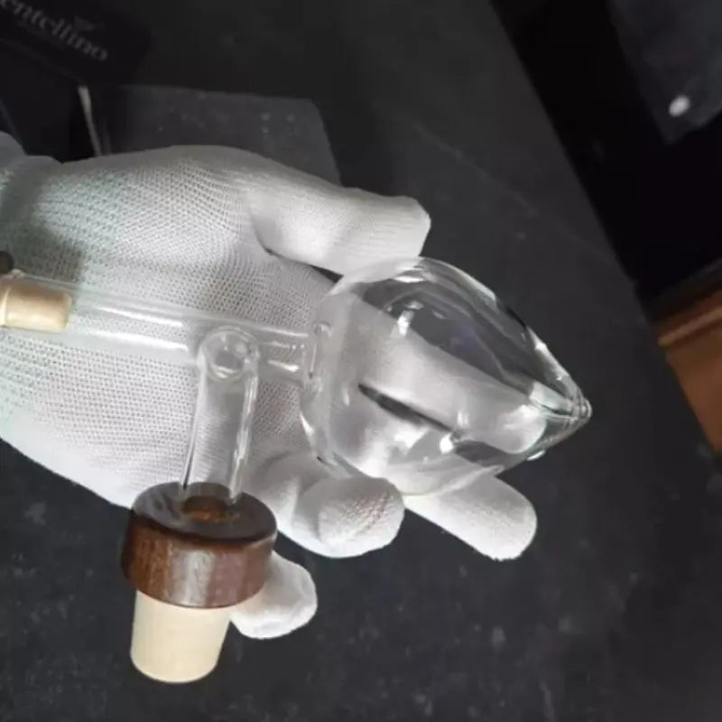 Aérateur de vin en bouteille